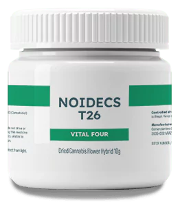 Noidecs VFour