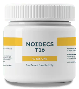 Noidecs VOne